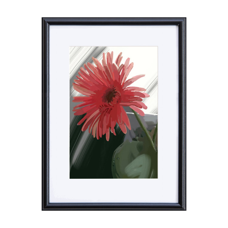 Gerber Daisy